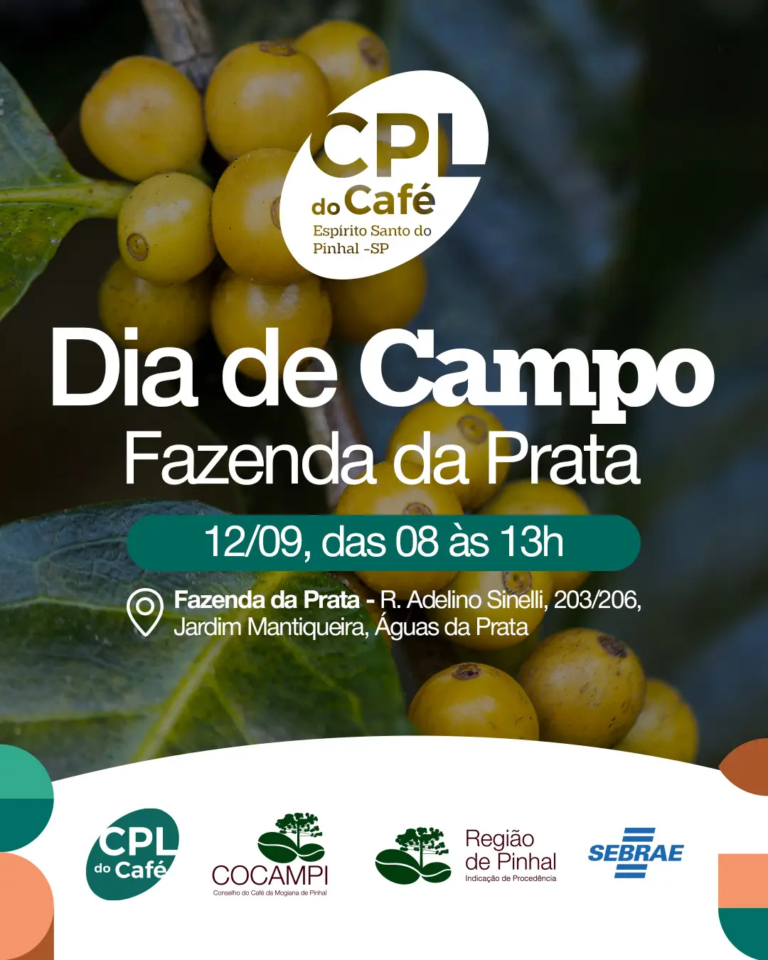 1º Dia de Campo