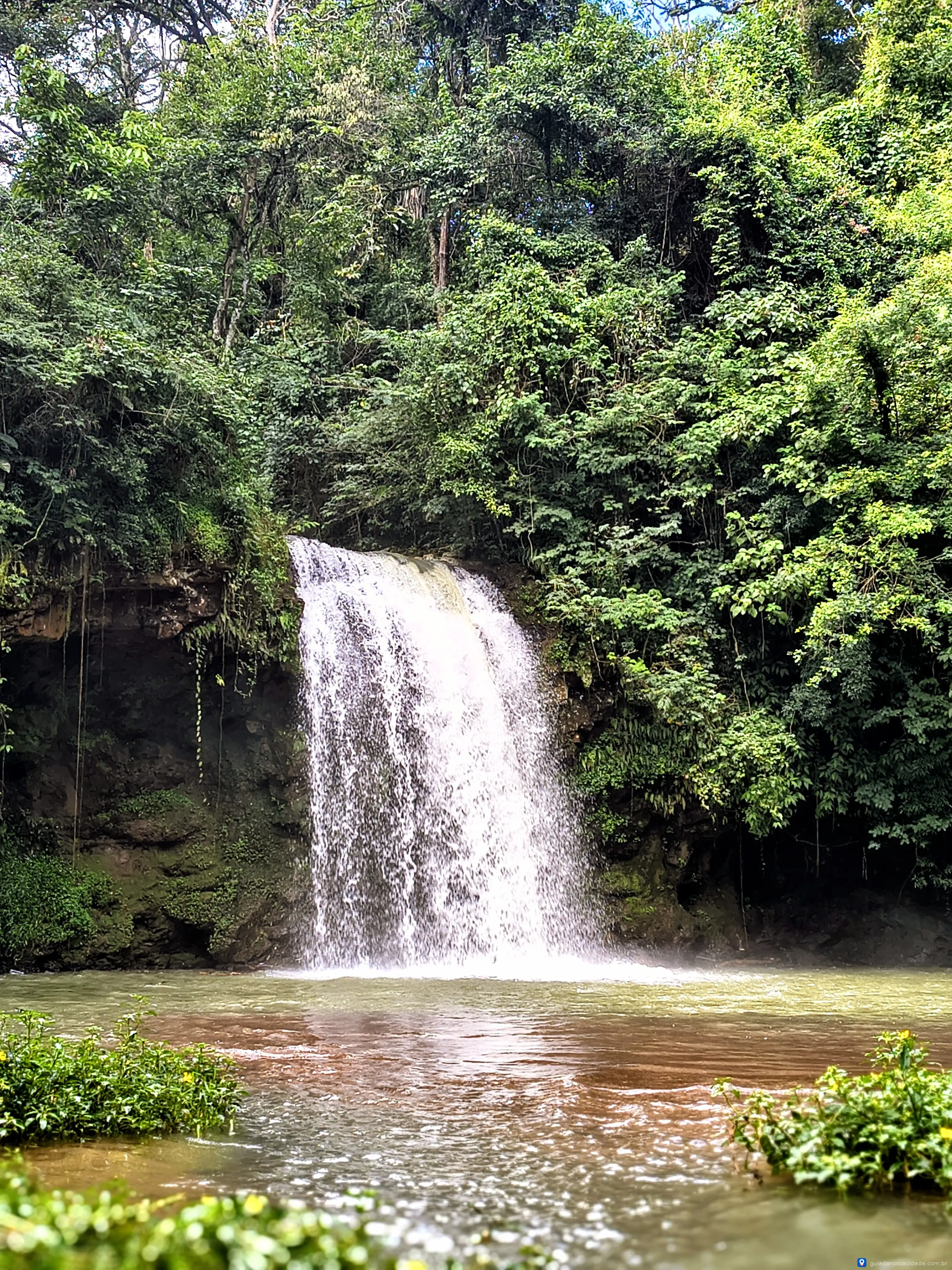 Cachoeira cercada por floresta densa com água caindo em um lago raso ao nível do solo.