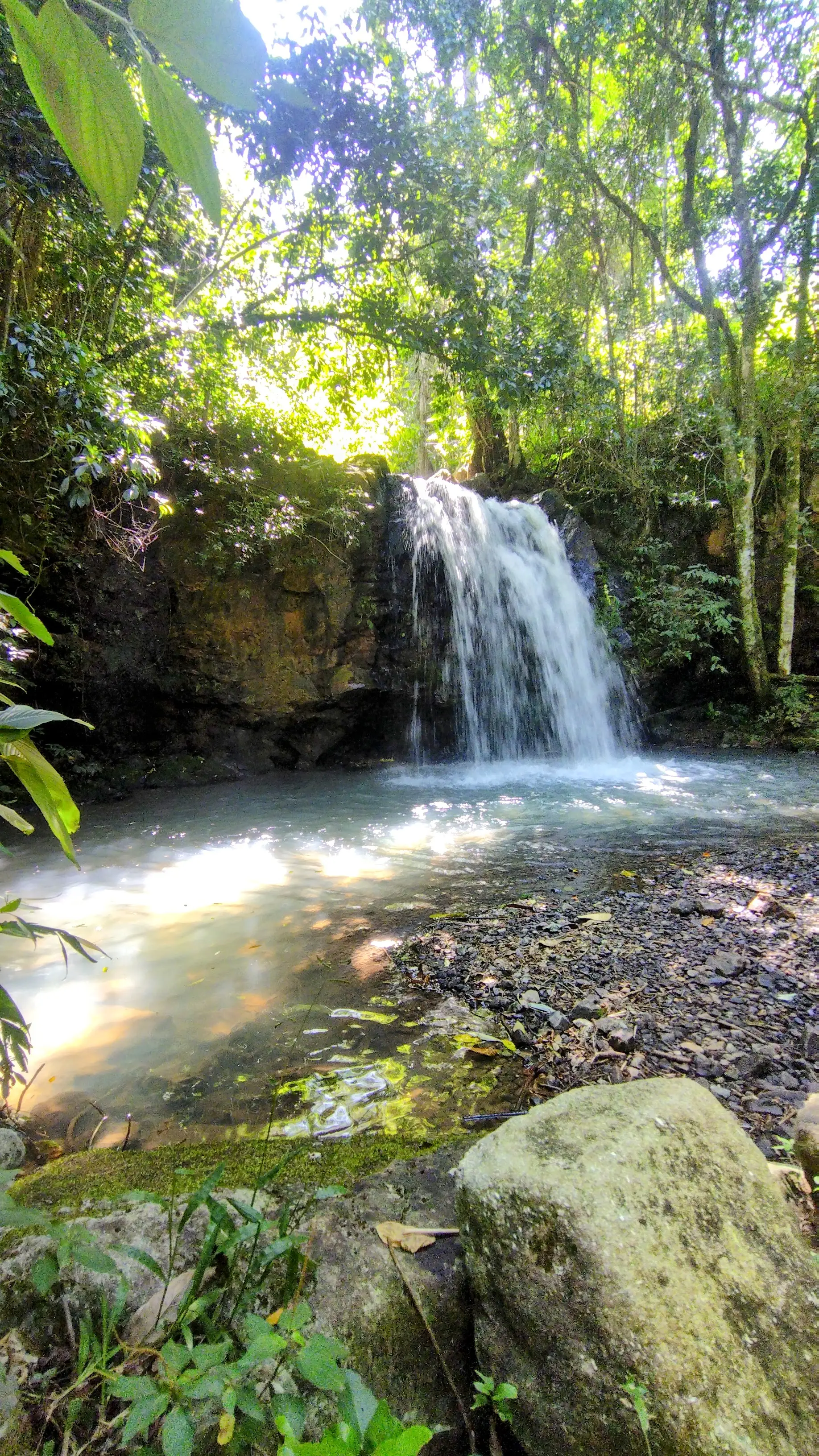 Pequena cachoeira em meio à vegetação densa, com a água formando uma piscina natural.