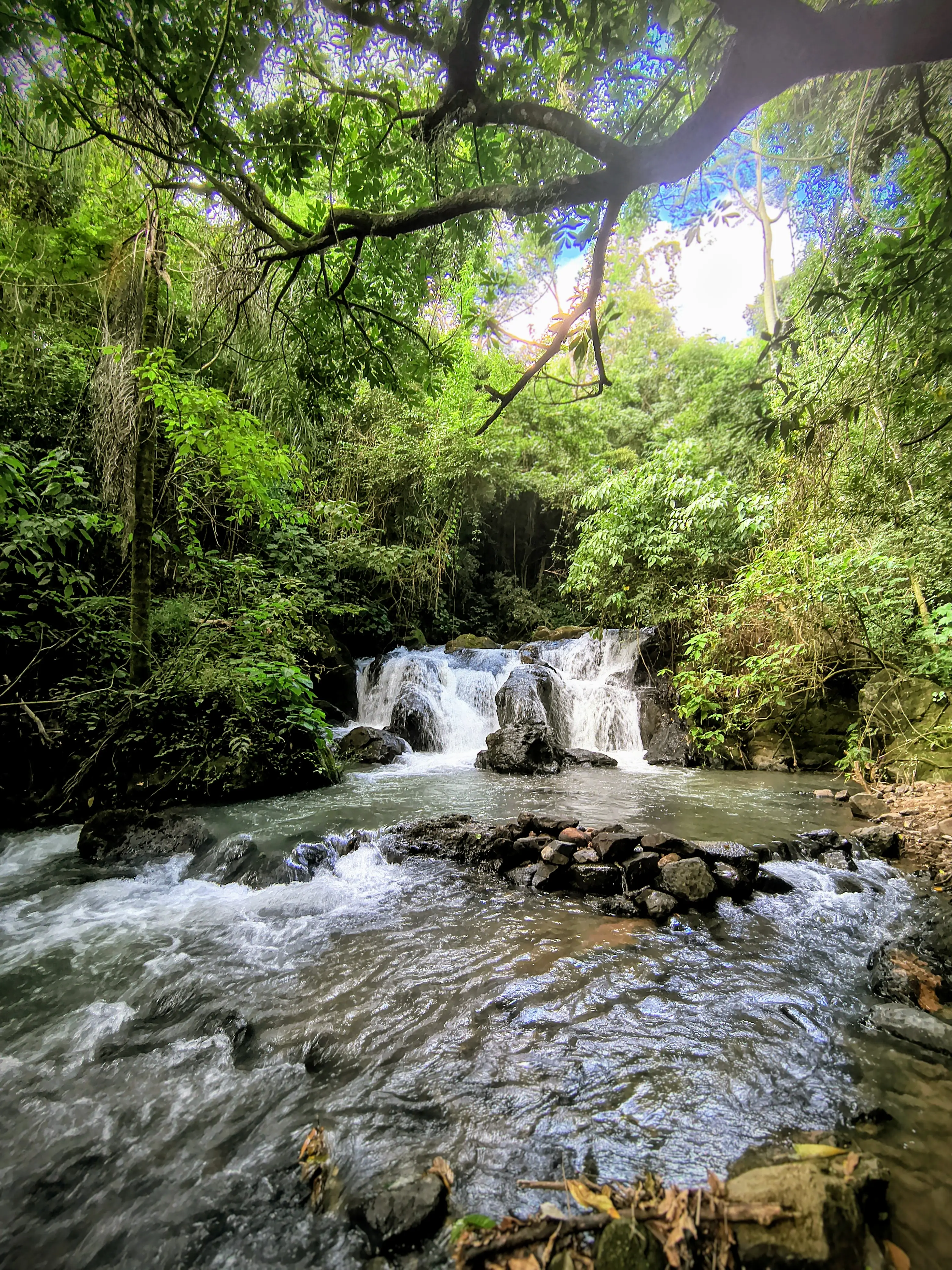 Cachoeira cercada por densa vegetação verde sob céu parcialmente nublado.