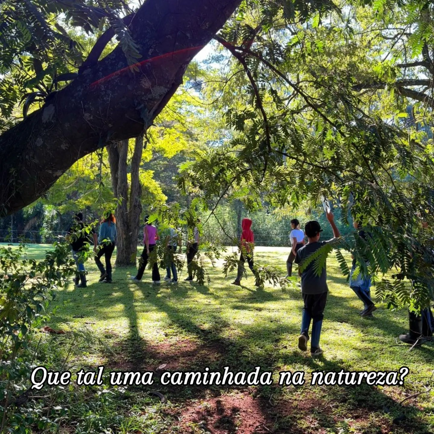 Caminhada Ecológica