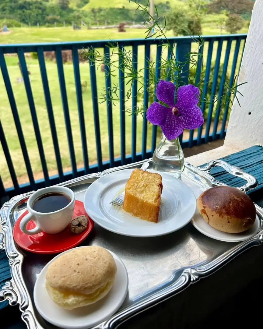 Café, bolo, pães e orquídea em bandeja prateada com varanda e campo verde ao fundo.