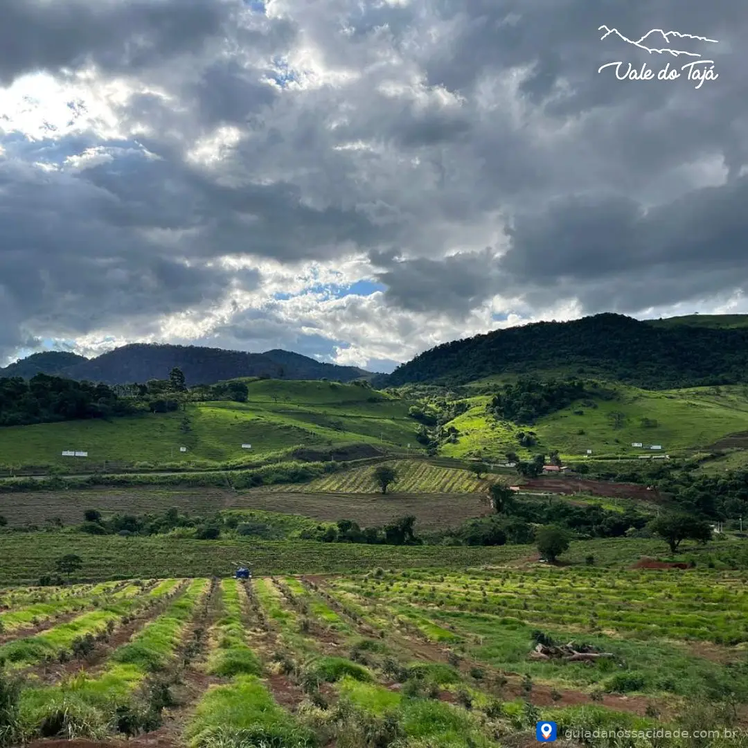 Fazenda Vale do Tajá - Imagem 2