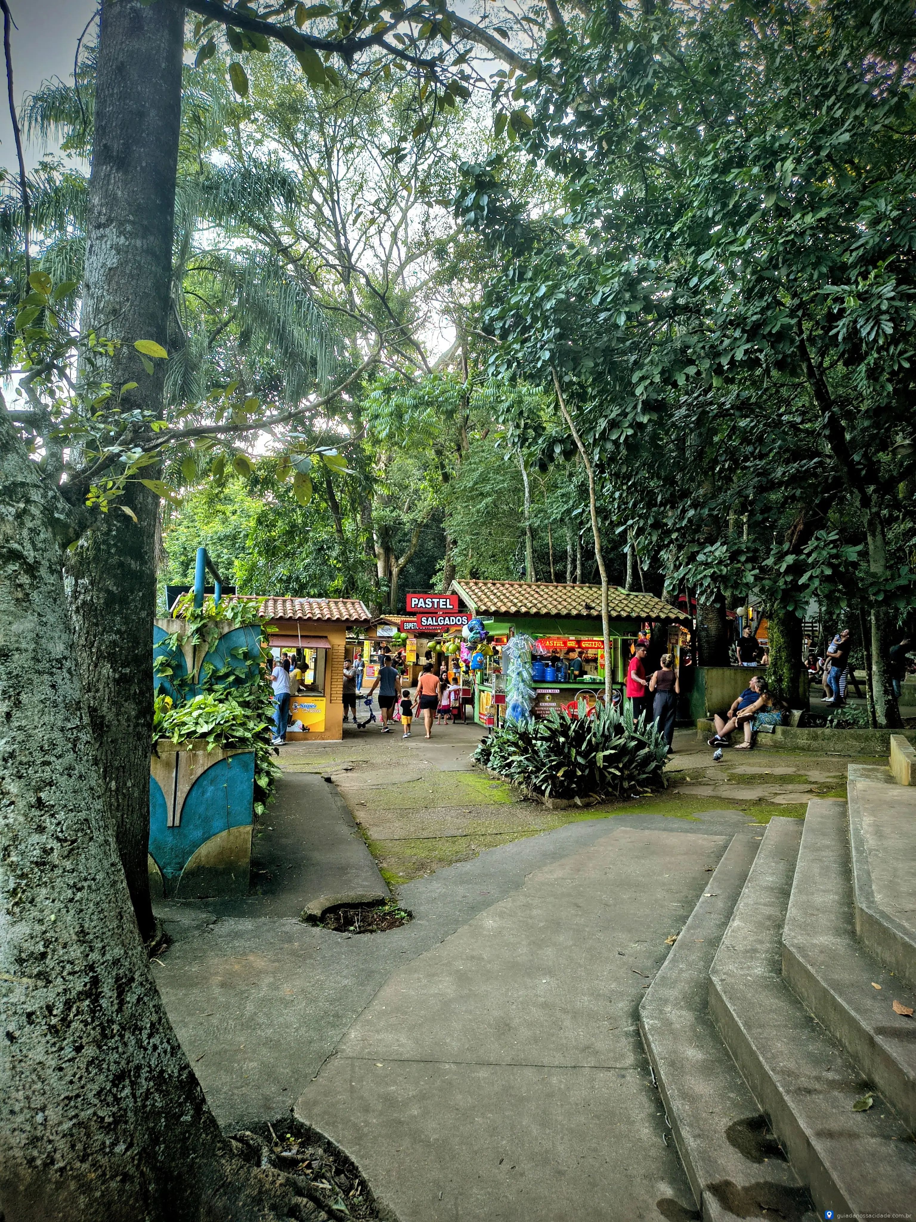 Fonte Vilela - Imagem 3