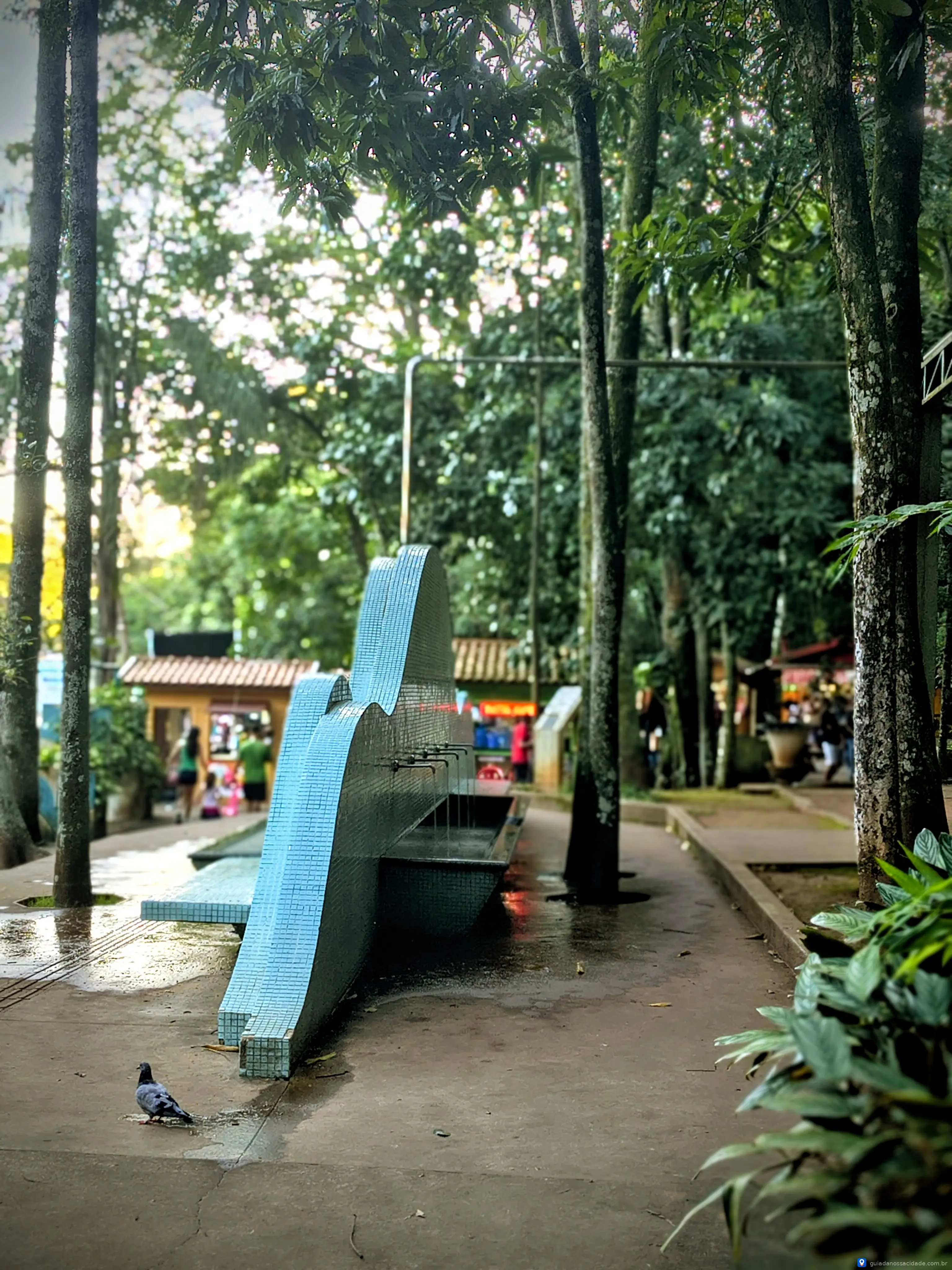 Fonte Vilela - Imagem 2