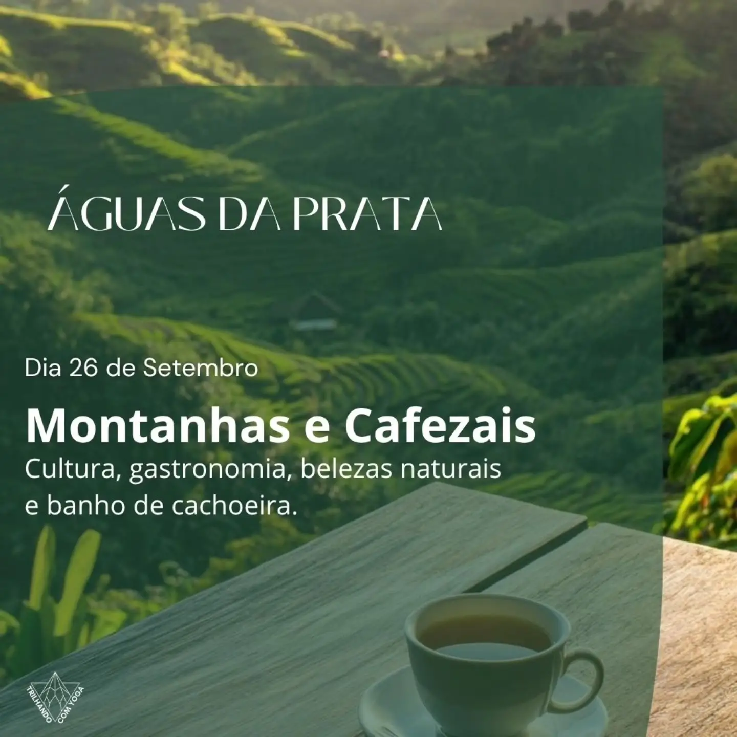 Montanhas e Cafezais