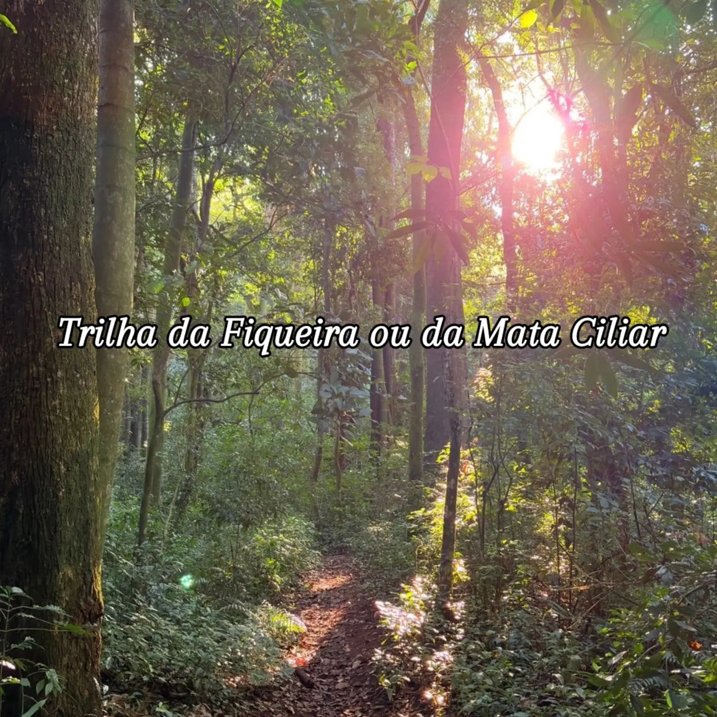 Trilha Educar