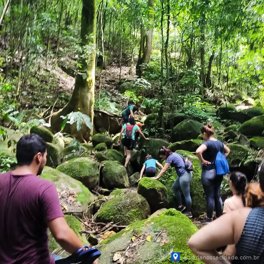 Grupo de pessoas caminhando em trilha na floresta, subindo pedras cobertas de musgo.