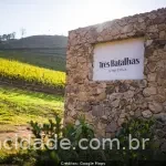 Logo de Vinícola Três Batalhas