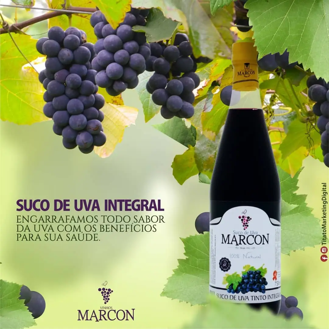 Vinhos Marcon - Imagem 3