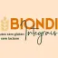 Logo de Biondi Integrais