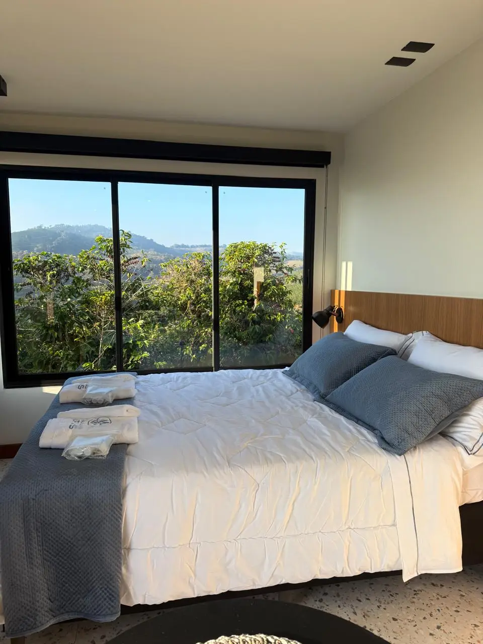 Quarto com cama de casal, janelas amplas com vista para vegetação, almofadas cinzas e toalhas dobradas na cama.