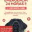 Logo de AlphaVet - Clínica Veterinária Emergência 24 horas