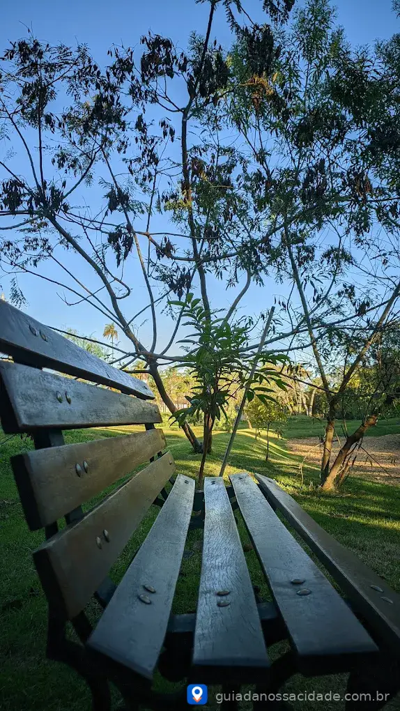 Banco de madeira em parque com árvores e céu azul ao fundo.