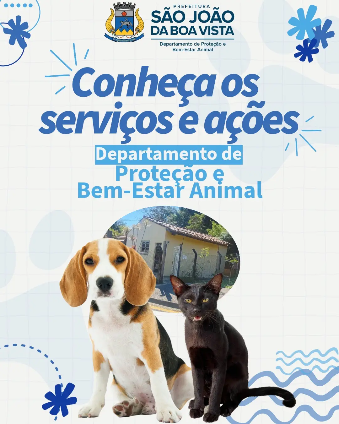 Serviços do Bem-Estar Animal