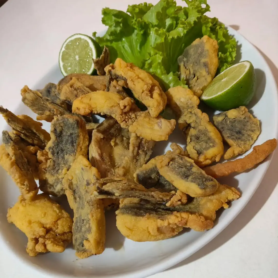 Venda Canta Gallo